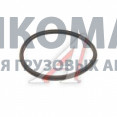 Кольцо уплотнительное термостата дв.  ISF2.8 D=60 d=55 
